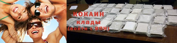 стаф Касимов