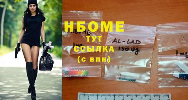 стаф Касимов