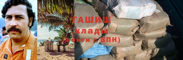 стаф Касимов
