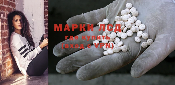 стаф Касимов