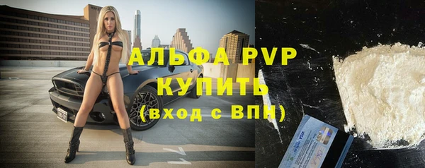 стаф Касимов