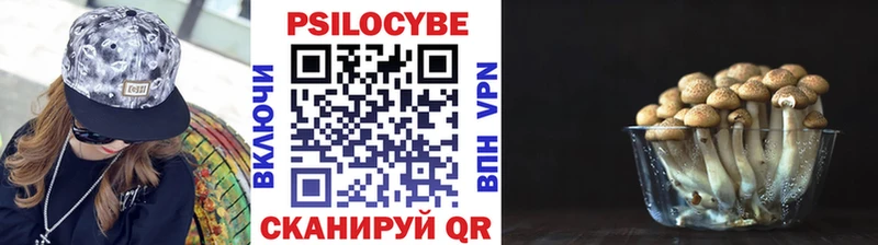 Купить  Дмитриев  Псилоцибиновые грибы прущие грибы 